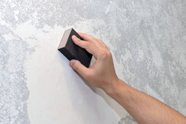 Best Mold Prevention Services  in Pasadena Hills, MO