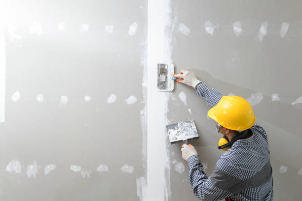 Best Residential Mold Inspection & Testing  in Pasadena Hills, MO