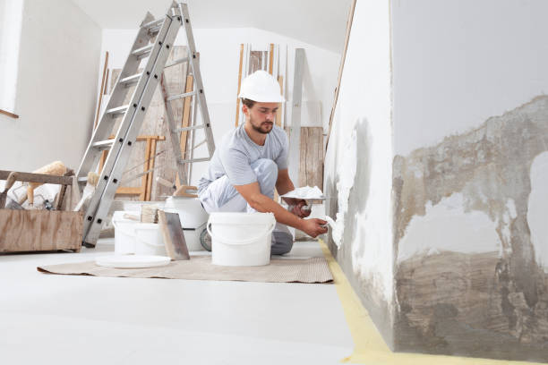 Best Mold Removal for HVAC Installations  in Pasadena Hills, MO