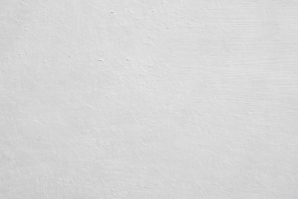 Pasadena Hills, MO Mold Removal Company